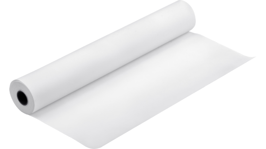 Зображення Папір Epson Enhanced Synthetic Paper, 84 г/м2, 24" x 40 м (C13S041614)